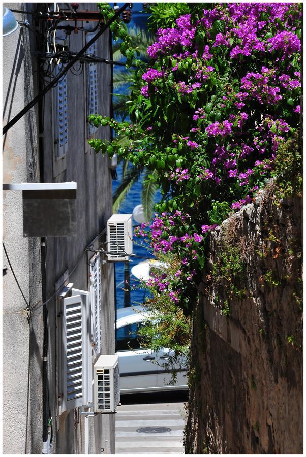קורצולה Guest House City Center מראה חיצוני תמונה